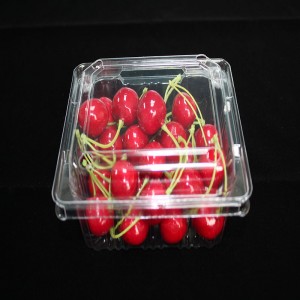 Συσκευασία τροφίμων Clamshell